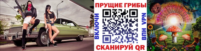 mega ONION  Липецк  Галлюциногенные грибы GOLDEN TEACHER 